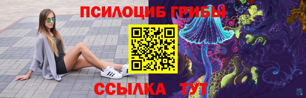 Псилоцибиновые грибы Magic Shrooms  Вход с VPN  Елец  Псилоцибиновые грибы Cubensis 