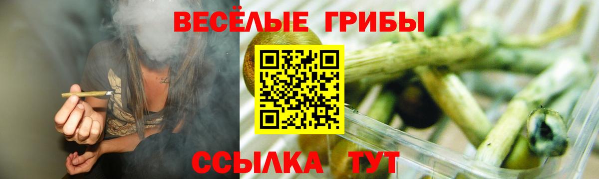 Псилоцибиновые грибы Psilocybine cubensis Елец